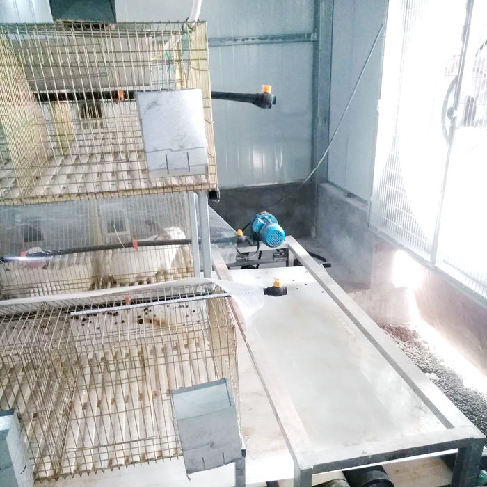 兔用自動清糞機(jī) (7).jpg