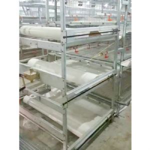 肉雞全自動清糞機(jī)